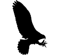 Osprey Application Logo